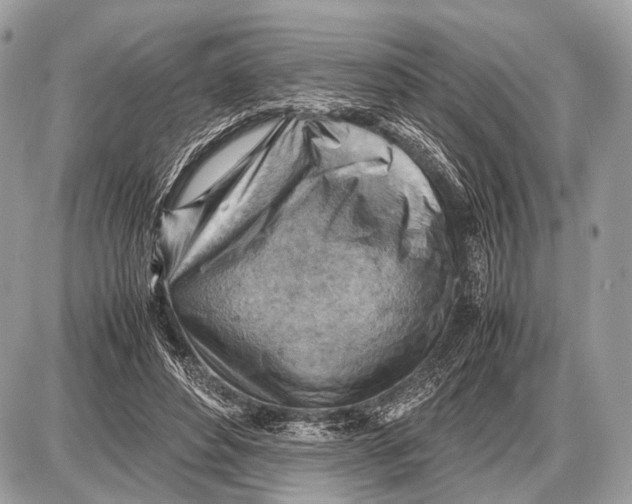 X0000087400496200705111829