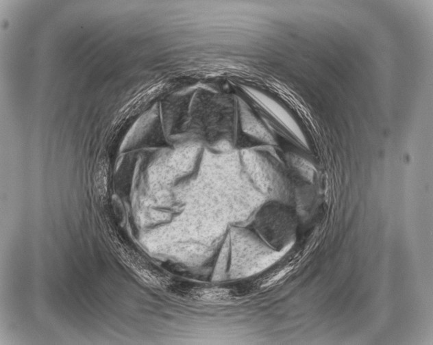 X0000087400501200705111829