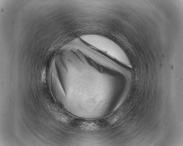 X0000087400502200705111829