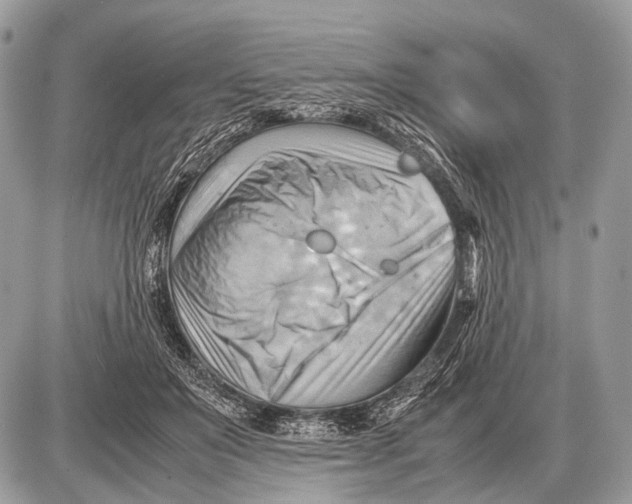 X0000087400503200705111829