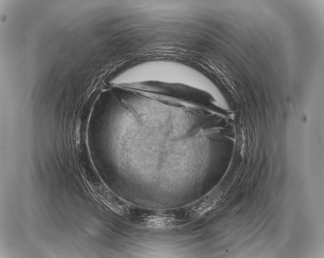 X0000087400504200705111829