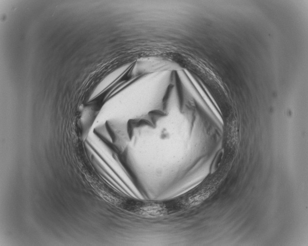 X0000087400505200705111829