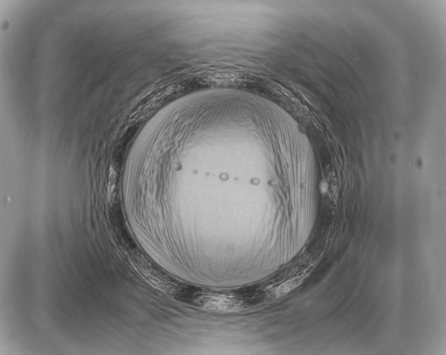 X0000087400507200705111829