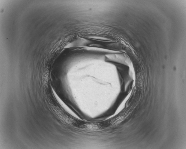 X0000087400509200705111829