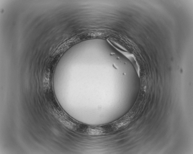 X0000087400510200705111829