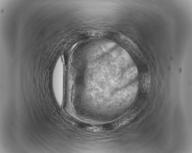 X0000087400511200705111829