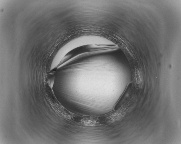 X0000087400512200705111829