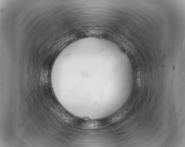 X0000087400514200705111829