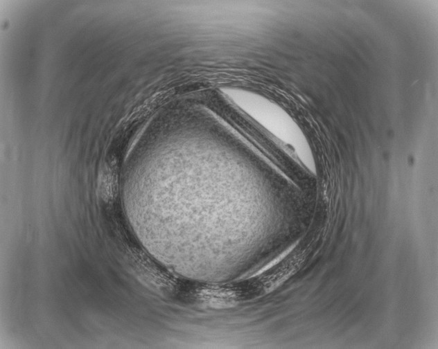 X0000087400515200705111829