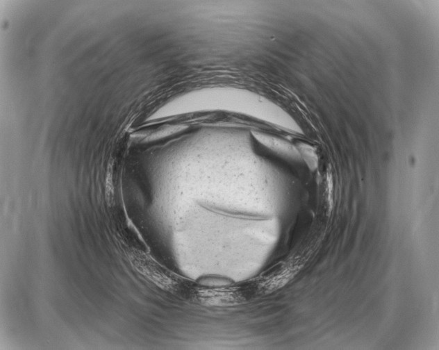 X0000087400516200705111829