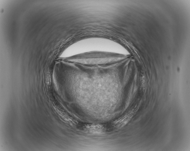 X0000087400517200705111829