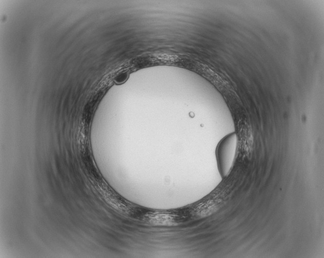 X0000087400518200705111829