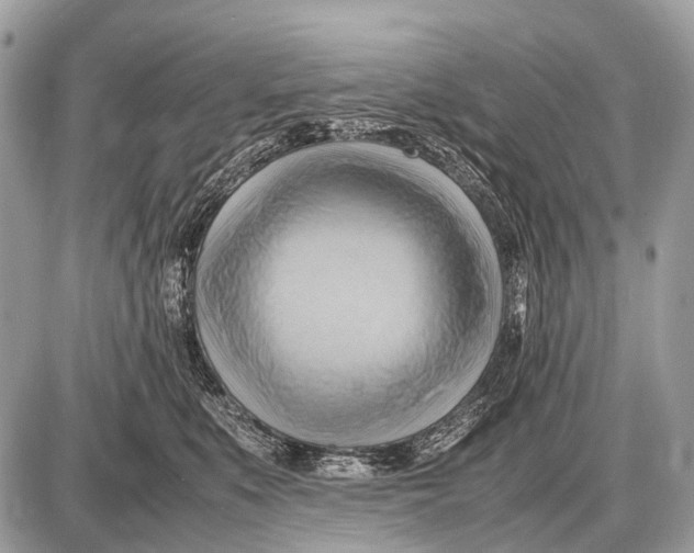 X0000087400519200705111829