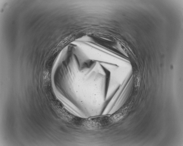 X0000087400521200705111829