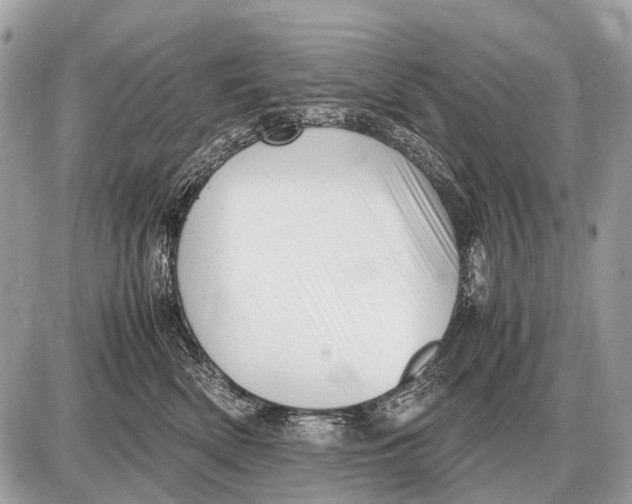 X0000087400522200705111829