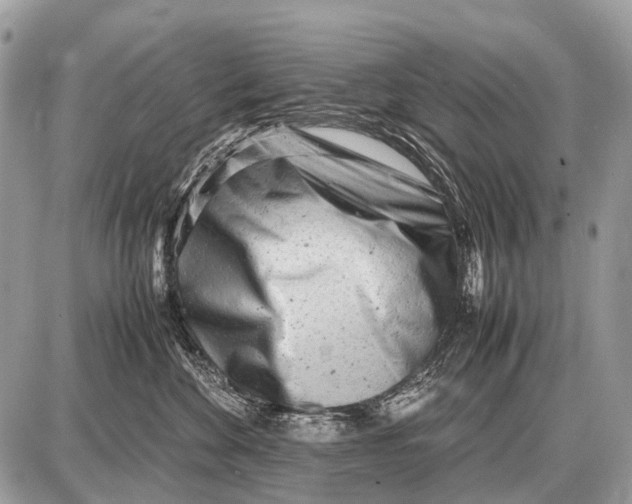 X0000087400524200705111829