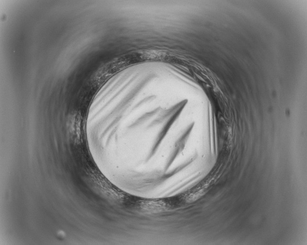 X0000087400525200705111829