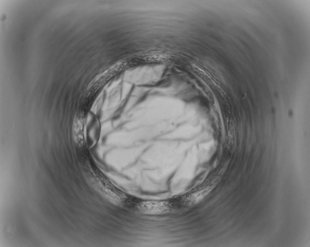 X0000087400526200705111829