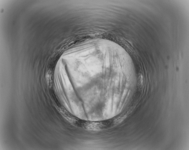 X0000087400527200705111829