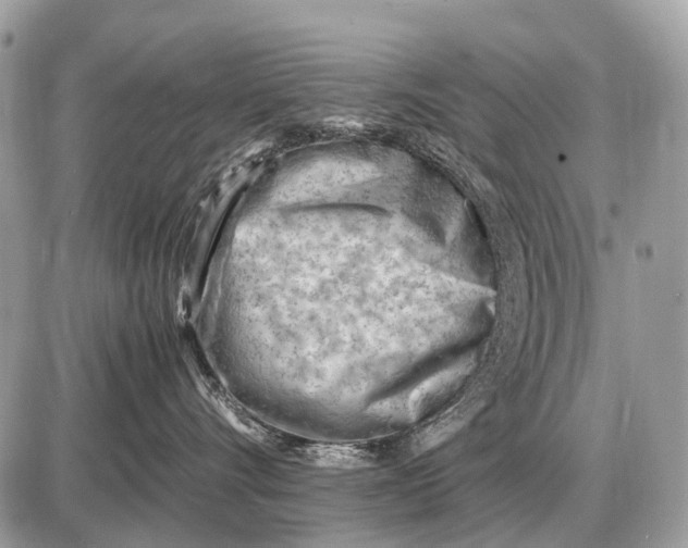 X0000087400528200705111829