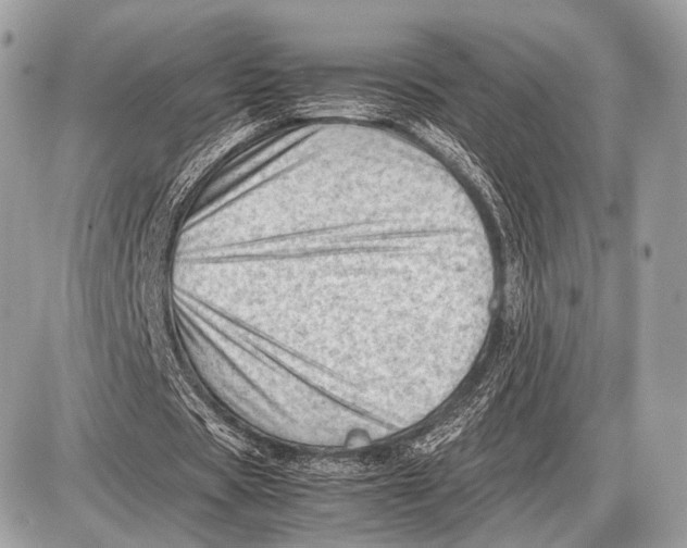 X0000087400529200705111828