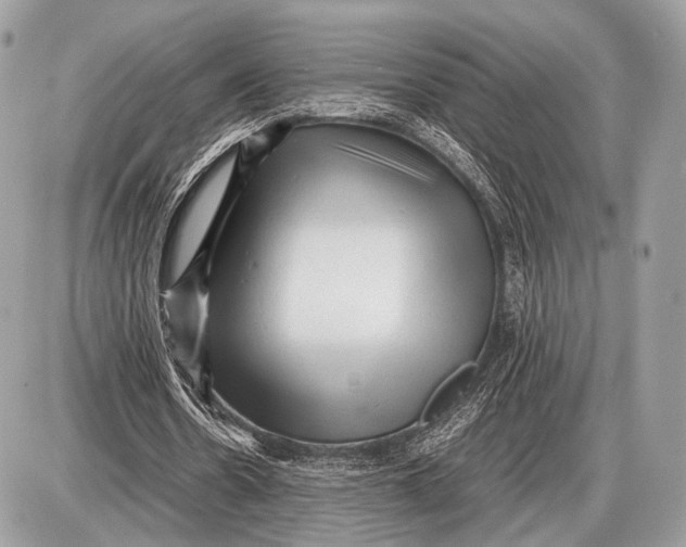 X0000087400530200705111828