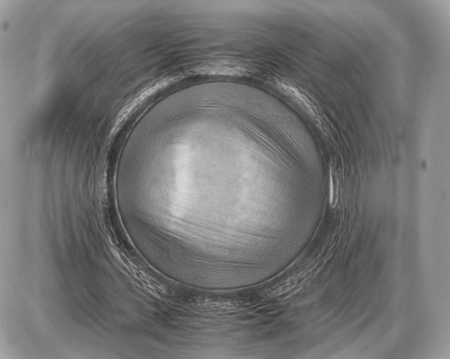 X0000087400531200705111828