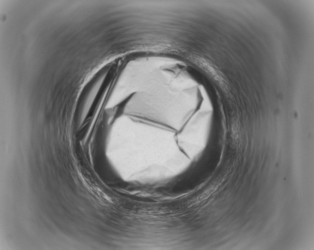 X0000087400532200705111828