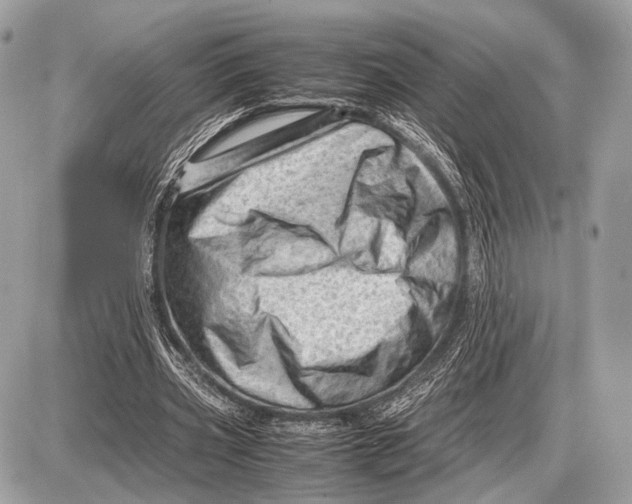 X0000087400533200705111828