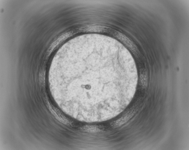 X0000087400534200705111828