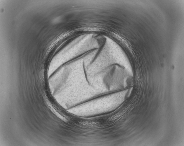 X0000087400535200705111828