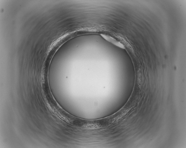 X0000087400536200705111828