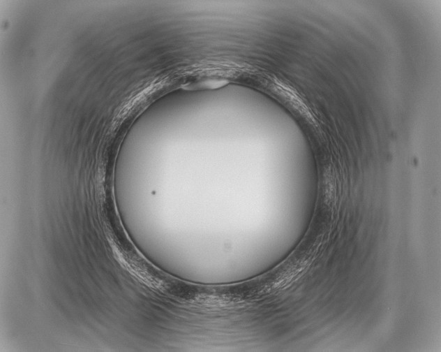 X0000087400538200705111828