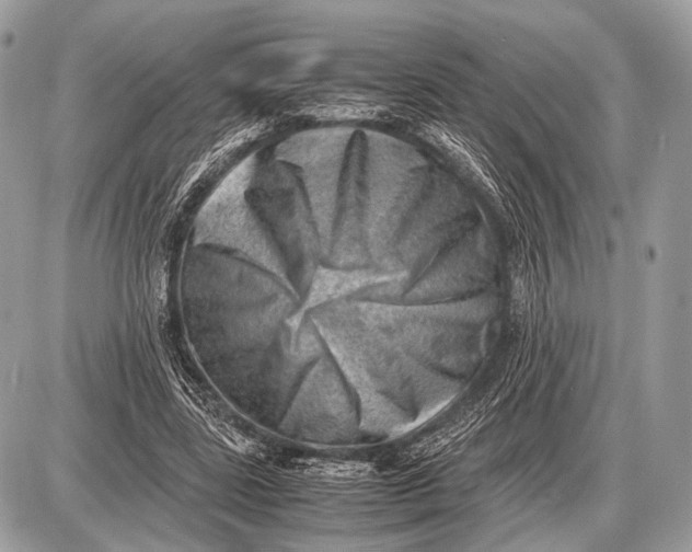 X0000087400539200705111828