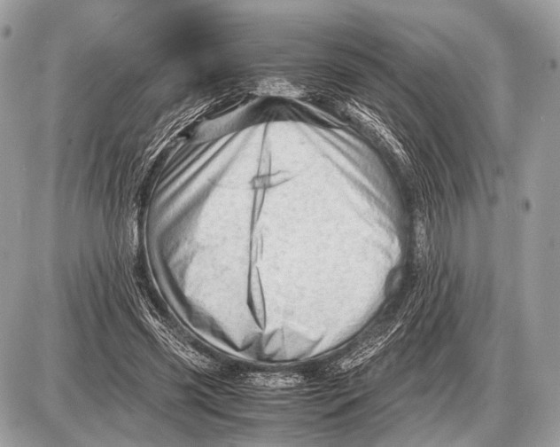 X0000087400541200705111828