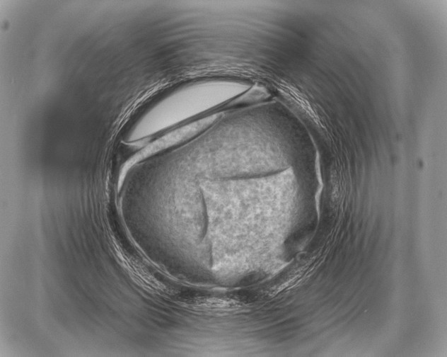 X0000087400542200705111828