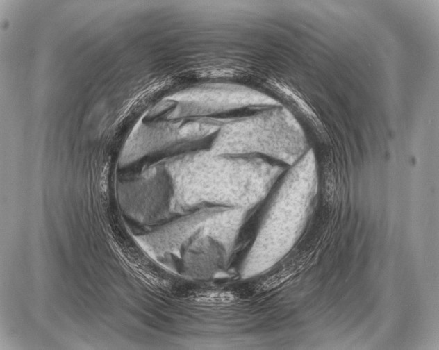 X0000087400543200705111828