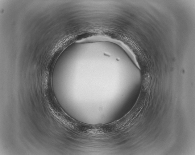 X0000087400544200705111828