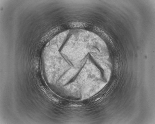 X0000087400545200705111828