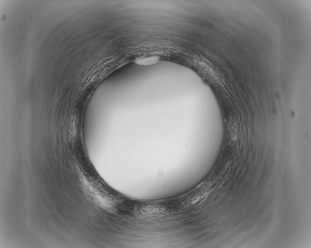 X0000087400546200705111828