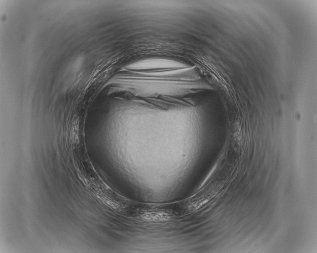 X0000087400547200705111828