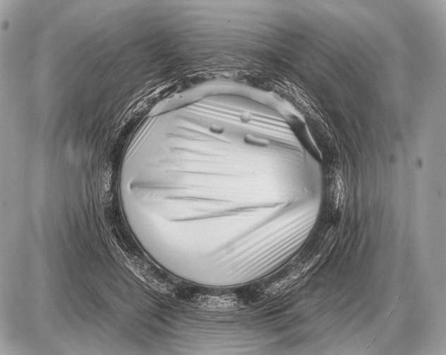 X0000087400548200705111828