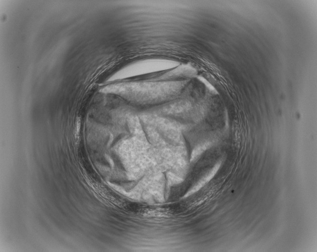 X0000087400550200705111828