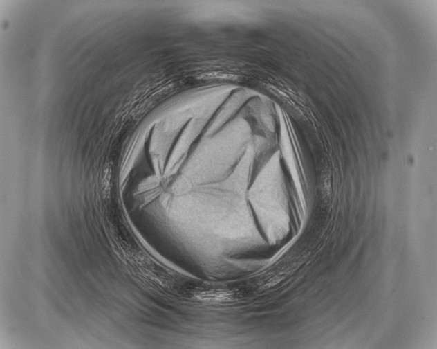 X0000087400551200705111828