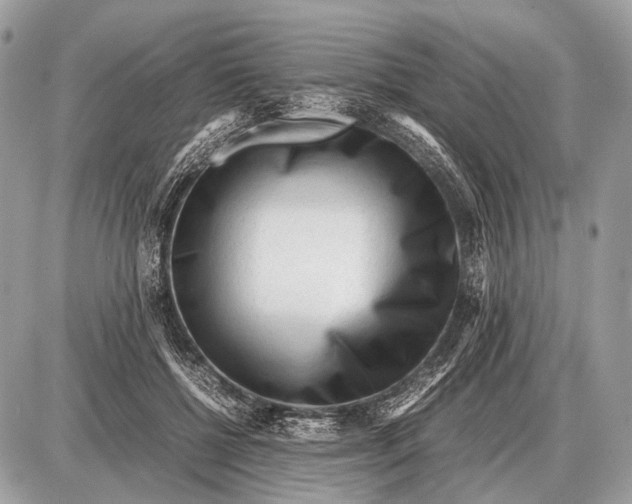 X0000087400552200705111828