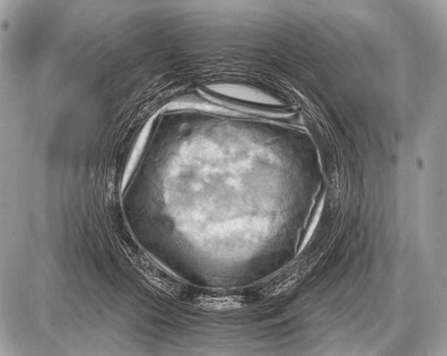 X0000087400553200705111828