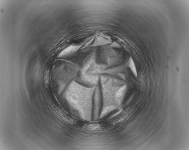 X0000087400554200705111828