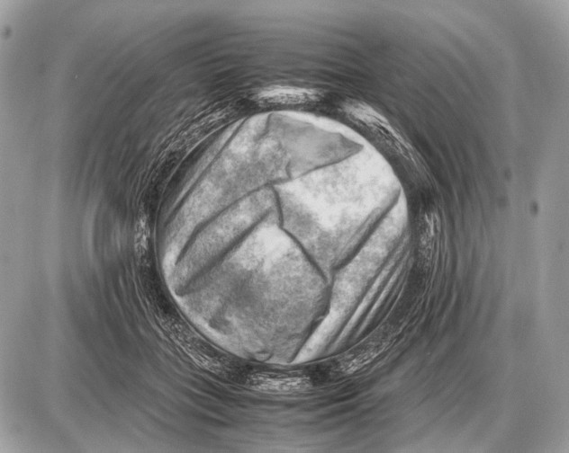 X0000087400555200705111828