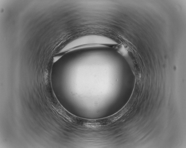 X0000087400556200705111828