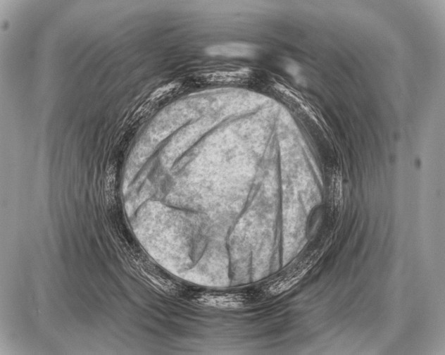 X0000087400557200705111828